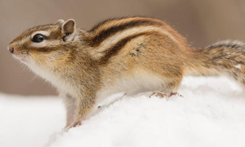 深圳零零柒壹壹安防科技公司轮播图4